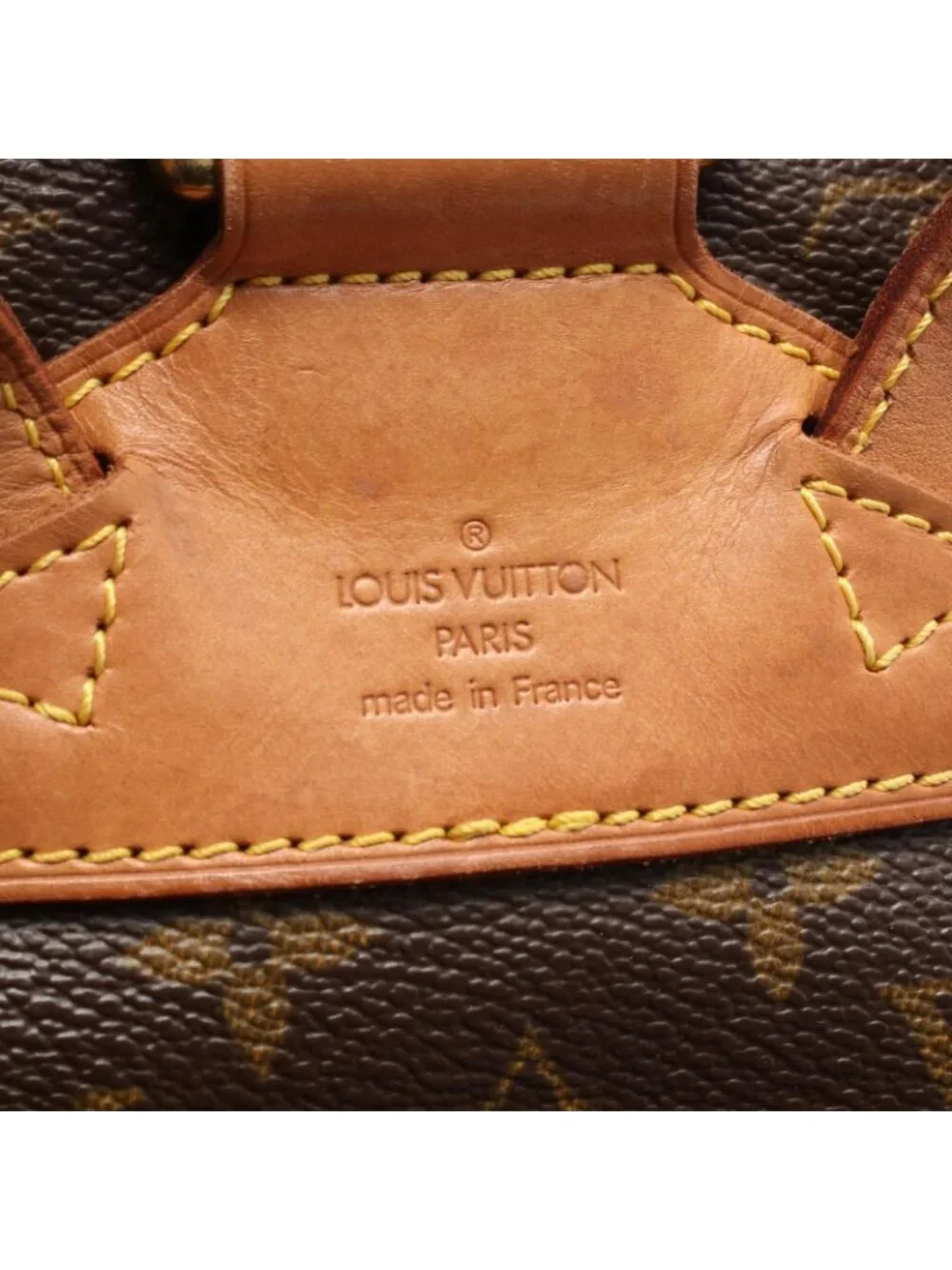Louis Vuitton Backpack Montsouris MM Canvas Leather